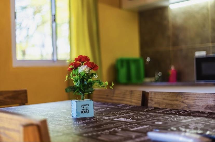 Posada The Gringos บียายากันโต ภายนอก รูปภาพ